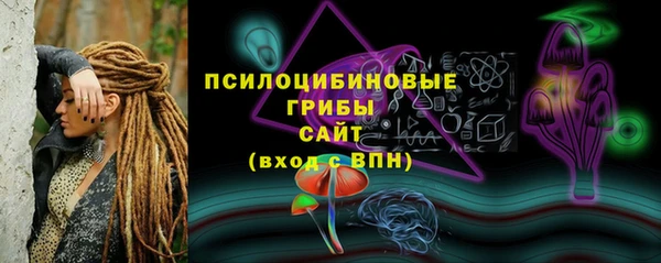 стаф Нефтегорск